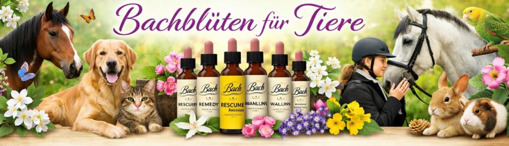 Bachblüten für Tiere
